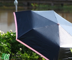 fasola是什么品牌？fasola太陽傘怎么樣？