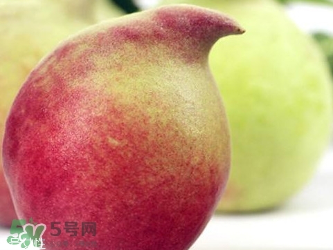 鷹嘴桃種植應(yīng)注意哪些？鷹嘴桃什么時(shí)間修剪