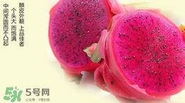 紅心火龍果對(duì)人體有哪些好處？紅心火龍果的禁忌