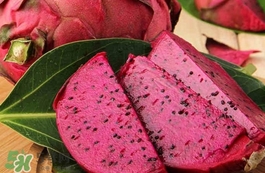 紅心火龍果為什么貴？紅心火龍果為什么比白心的貴？