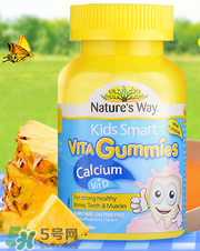 Nature's Way好嗎 Nature's Way保健品怎么樣？