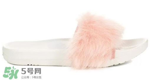 ugg royale小毛王拖鞋有哪幾種顏色？ugg小毛王拖鞋顏色有幾款？