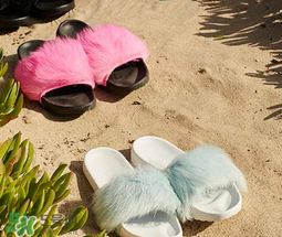 ugg royale小毛王拖鞋有哪幾種顏色？ugg小毛王拖鞋顏色有幾款？