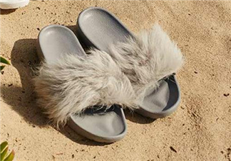 ugg royale小毛王拖鞋有哪幾種顏色？ugg小毛王拖鞋顏色有幾款？