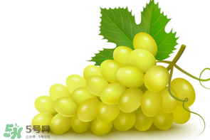 葡萄多少錢一斤？葡萄多少錢一斤2017？