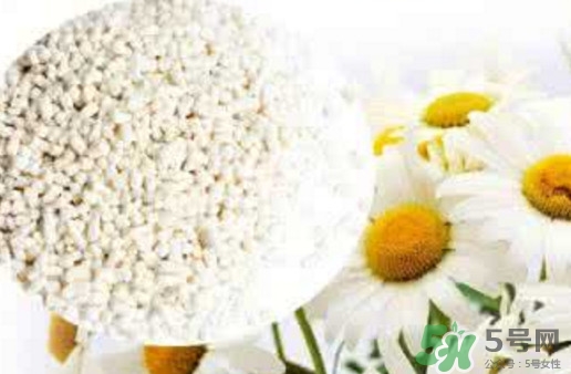 菊花晶是熱性還是涼性？菊花晶嬰兒可以喝嗎？