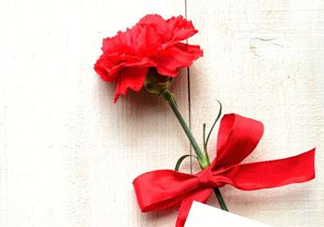 父親節(jié)可以送康乃馨嗎？父親節(jié)送康乃馨好不好？