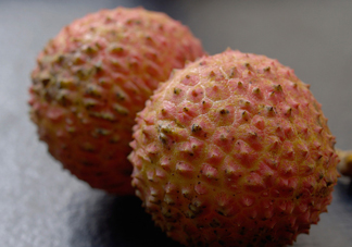 桂味荔枝和妃子笑哪個(gè)好吃？桂味荔枝和妃子笑區(qū)別