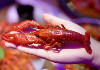 2017常州龍蝦節(jié)什么時候？2017常州龍蝦節(jié)在哪里？