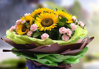 2017向日葵多少錢一朵？向日葵多少錢一支2017？