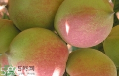 鷹嘴桃種植應(yīng)注意哪些？鷹嘴桃什么時(shí)間修剪