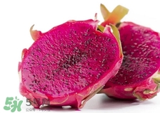 紅心火龍果的熱量高嗎？一個(gè)紅心火龍果的熱量是多少