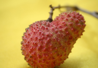 桂味荔枝多少錢一斤2017？桂味荔枝價(jià)格