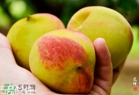 九仙桃什么時候成熟？九仙桃什么時候上市