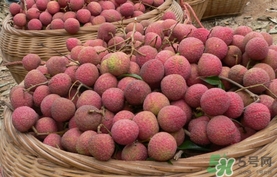 黑葉荔枝和白糖罌哪個好吃？黑葉荔枝和白糖罌區(qū)別