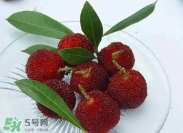 吃楊梅要洗嗎？楊梅要不要洗？