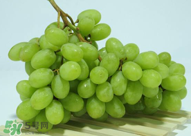 青提是涼性還是熱性？青提是酸性還是堿性？