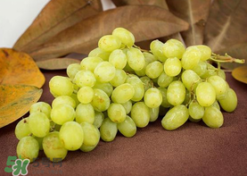 青提是涼性還是熱性？青提是酸性還是堿性？