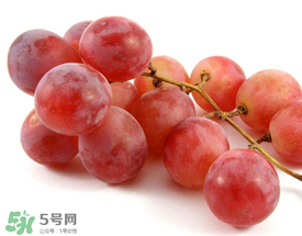 提子上的白色是什么？提子外面白色的是什么？