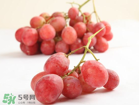 提子上的白色是什么？提子外面白色的是什么？