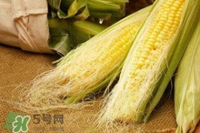 玉米須水什么人不能喝？玉米須煮水小孩能喝嗎？