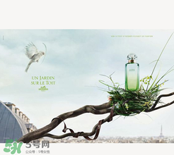 尼羅河花園適合什么人？尼羅河花園適合少女嗎？