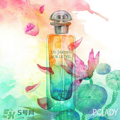 尼羅河花園適合什么人？尼羅河花園適合少女嗎？