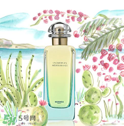 尼羅河花園適合什么人？尼羅河花園適合少女嗎？