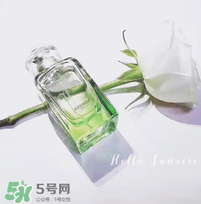 尼羅河花園適合什么人？尼羅河花園適合少女嗎？