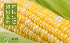 水果玉米是轉(zhuǎn)基因的嗎？水果玉米可以生吃嗎