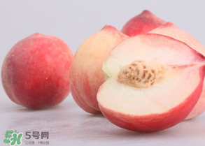 水蜜桃可以和酸奶一起吃嗎？水蜜桃酸奶的做法