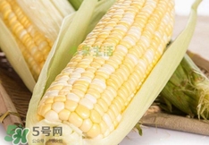 水果玉米多少錢一斤2017？水果玉米市場價格