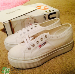 superga小白鞋什么價(jià)位？superga小白鞋專柜價(jià)格