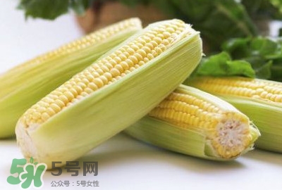 水果玉米可以多吃嗎？吃水果玉米有什么好處