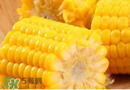 水果玉米熱量高嗎？一根水果玉米的熱量是多少