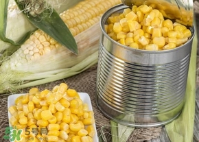 新鮮水果玉米怎么保存？水果玉米怎么儲存