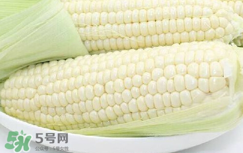 水果玉米多少錢一斤2017？水果玉米市場價格