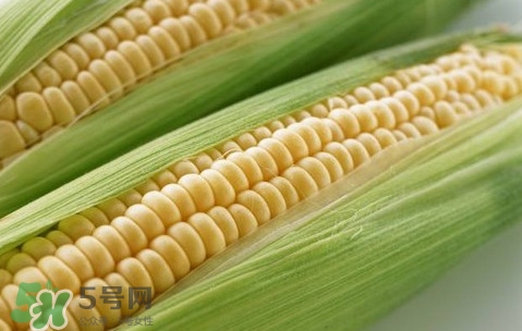 水果玉米熱量高嗎？一根水果玉米的熱量是多少