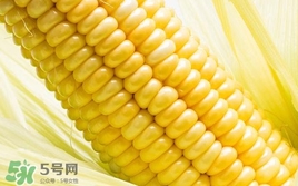 水果玉米是轉(zhuǎn)基因的嗎？水果玉米可以生吃嗎