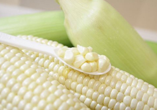 糯玉米是轉基因嗎？糯玉米是不是轉基因
