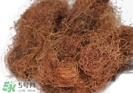 玉米須怎樣保存？玉米須可以曬干保存嗎？