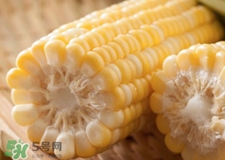 水果玉米多少錢一斤2017？水果玉米市場價格