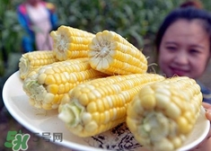 水果玉米和普通玉米有什么區(qū)別？水果玉米產地是哪里