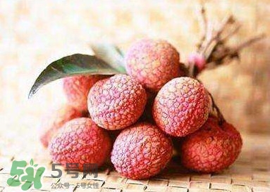 貴妃荔枝是哪里的？貴妃荔枝的產(chǎn)地是哪里