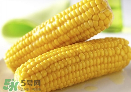 水果玉米可以多吃嗎？吃水果玉米有什么好處