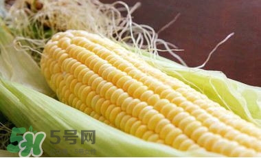 水果玉米是甜玉米嗎？水果玉米和甜玉米的區(qū)別