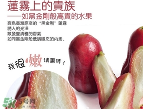 黑金剛蓮霧好吃嗎？黑金剛蓮霧多少錢一斤2017？