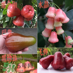 蓮霧什么季節(jié)吃最好？什么品種的蓮霧最好吃