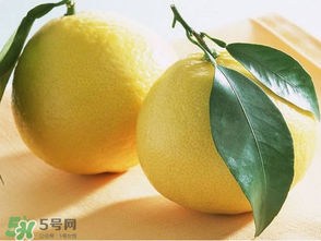 六月份還有柚子嗎？六月份哪里能買到柚子？