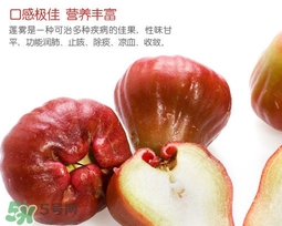 黑珍珠蓮霧多少錢一斤2017？黑珍珠蓮霧產(chǎn)地是哪里